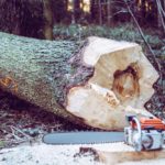 How to Sharpen a Chainsaw Chain :Tips For Professional Chainsaw Sharpener