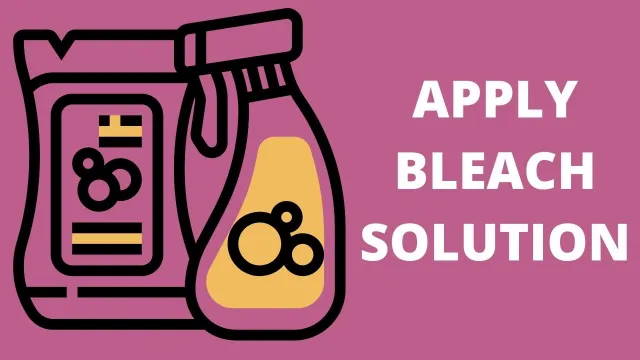 Apply bleach solution