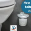 How To Clean Toilet Brush Holder