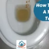 How to Clean A Rusty Toilet