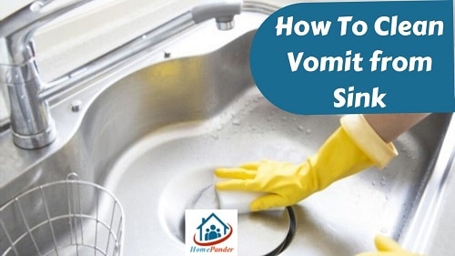 How To Clean Vomit from Sink? 5 Simple Methods To Follow