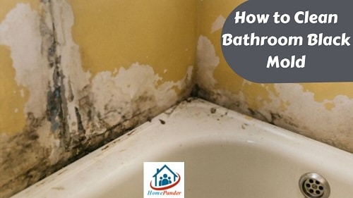 How to Clean Bathroom Black Mold