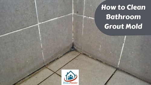 How to Clean Bathroom Grout Mold? (Easy and Quick Solutions)