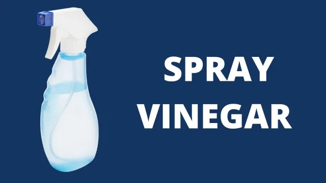 spray vinegar