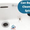 Can Bathroom Cleaners Kill Spiders