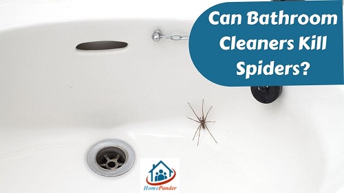 Can Bathroom Cleaners Kill Spiders?