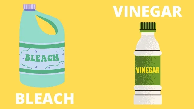 Bleach Vinegar