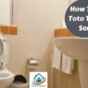 How To Clean a Toto Toilet With Sanagloss