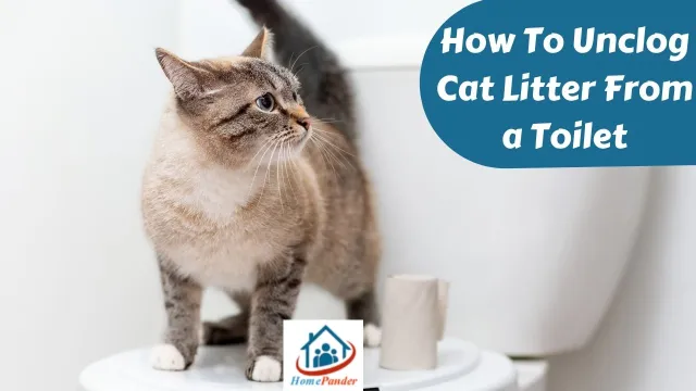 How To Unclog Cat Litter From a Toilet