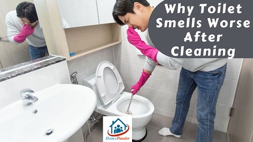 Toilet Smells Worse After Cleaning