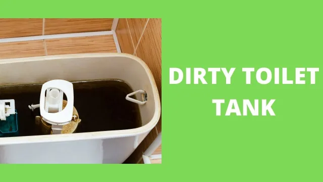 Dirty Toilet Tank