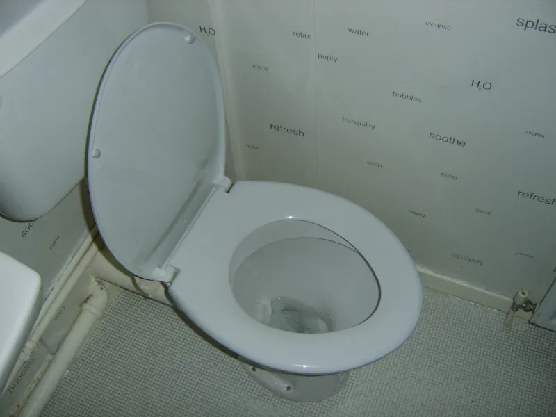 how-to-remove-blue-stain-from-toilet-seat-7-easy-methods-homepander