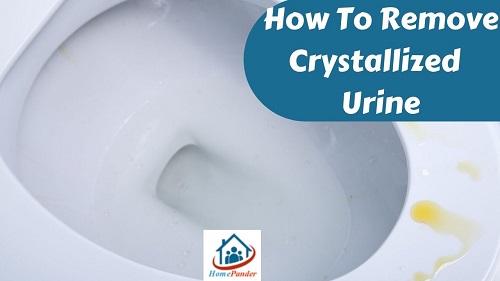 How to Remove Crystallized Urine [Explained]