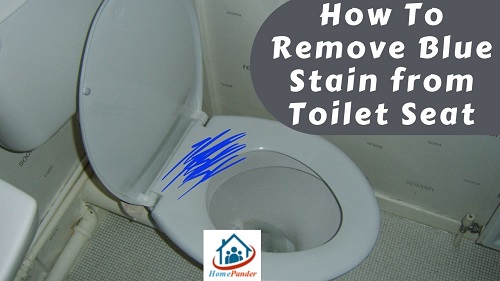 how-to-remove-blue-stain-from-toilet-seat-7-easy-methods