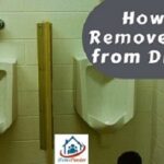 How to Remove Urine from Drywall