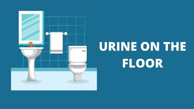 Urine on the Floor