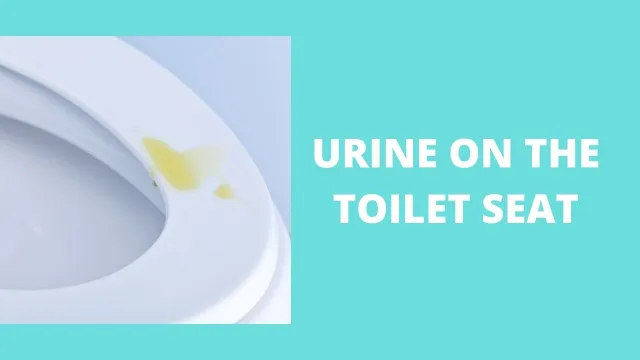 Urine on the toilet seat