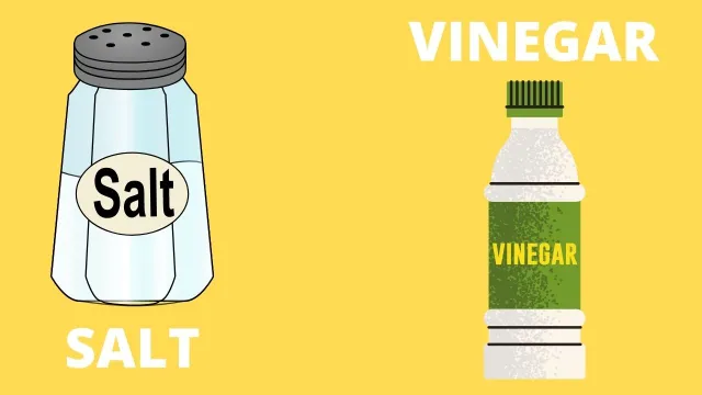 Vinegar and Salt