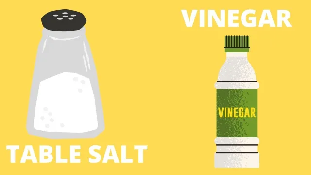 White Vinegar and Table Salt