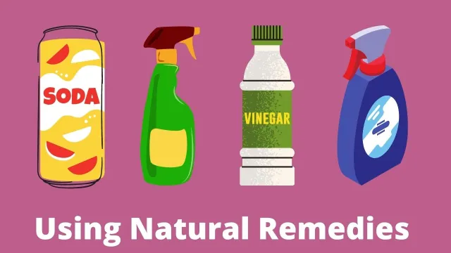 best natural cleaning products