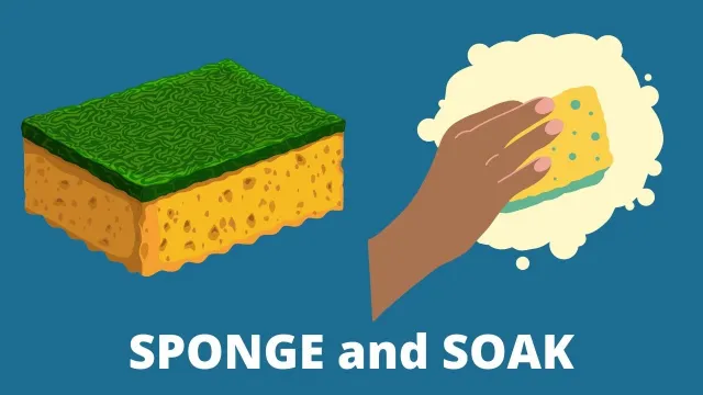 sponge and soak