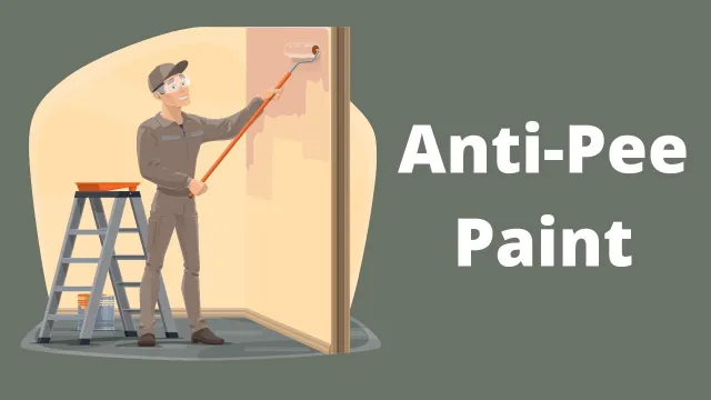 Applying Anti Pee Paint