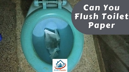 Can You Flush Toilet Paper Down The Toilet?