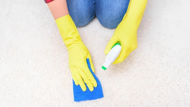 How To Remove The Lysol Smell From Car Vents And Home Carpet