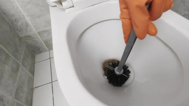 How to Get Rid of Black Stain in Toilet Bowl