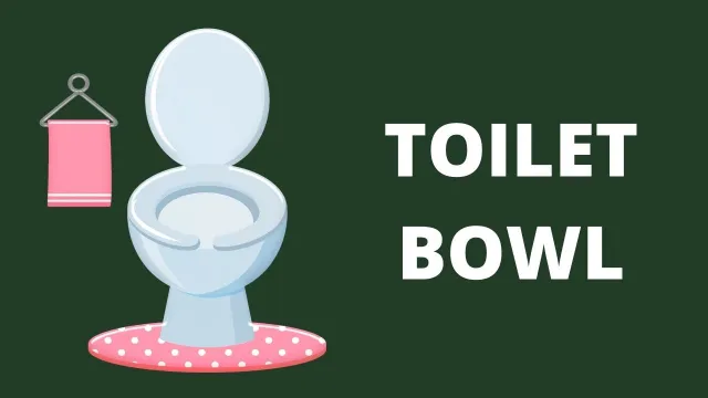 Toilet Bowl