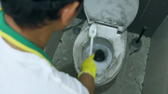 toilet seat turned yellow after bleaching