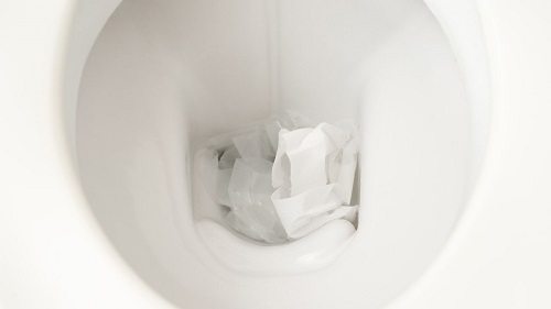 can you flush toilet paper in usa