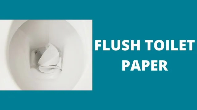 flush toilet paper