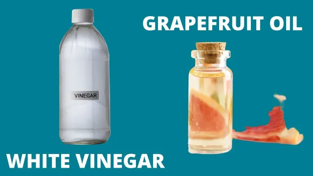 grapefruit oil and white vinegar