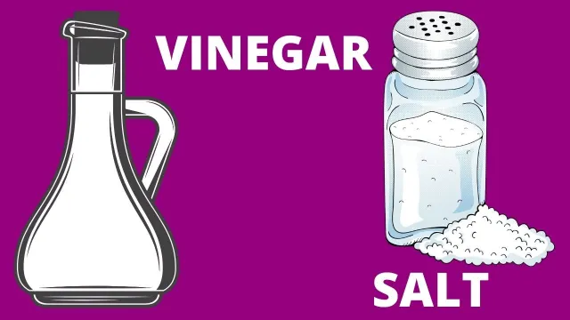 vinegar and salt cleaner