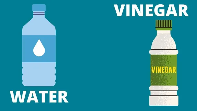 water and vinegar