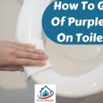 purple stains on toilet seat