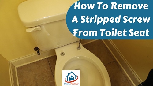 How To Remove A Stripped Screw From Toilet Seat