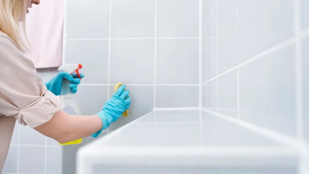 bathroom cleaning guide