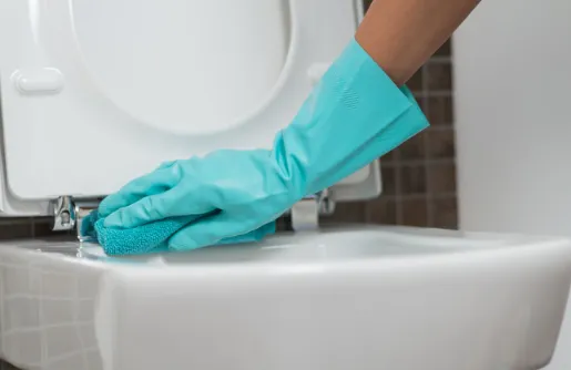 How To Clean Toilet Seat Hinges