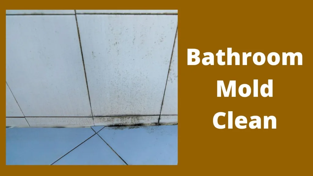 bathroom mold cleaning