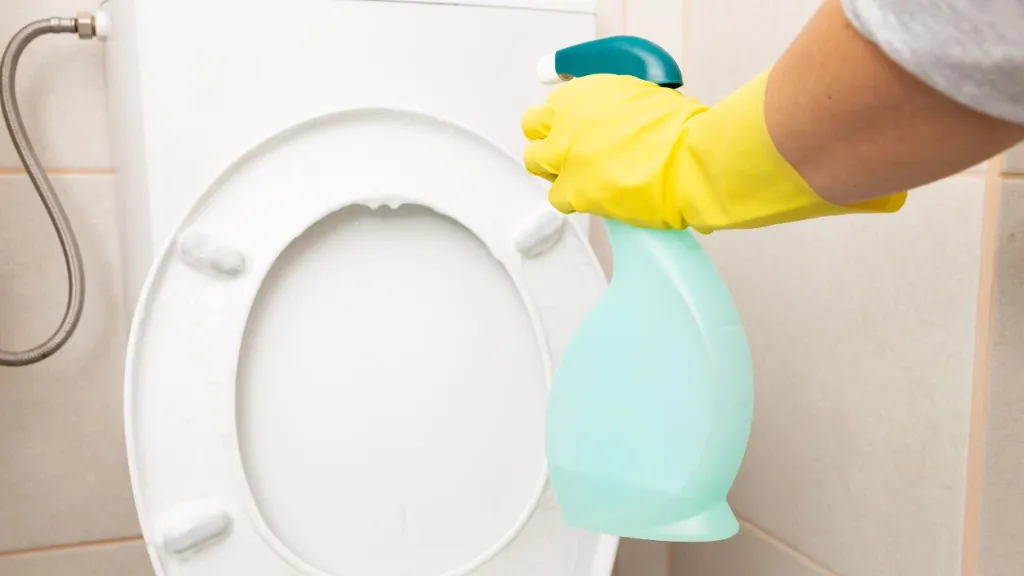 best disinfectant spray for toilet seats