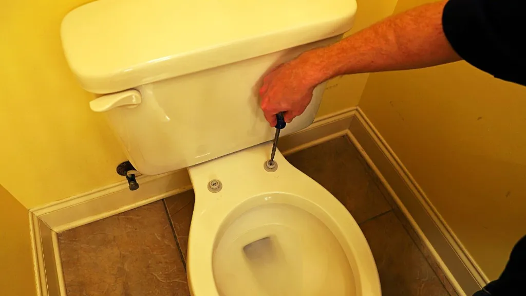 how to stop toilet seat hinges rusting