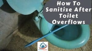 How To Sanitize After Toilet Overflows