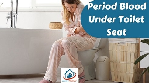 Period Blood Under Toilet Seat