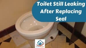 Toilet Still Leaking After Replacing Seal