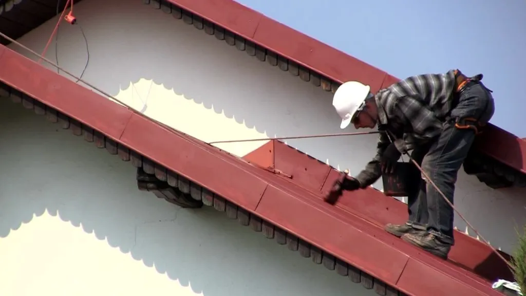 metal roof painters