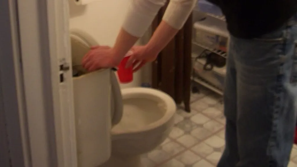 How To Sanitize After Toilet Overflows 