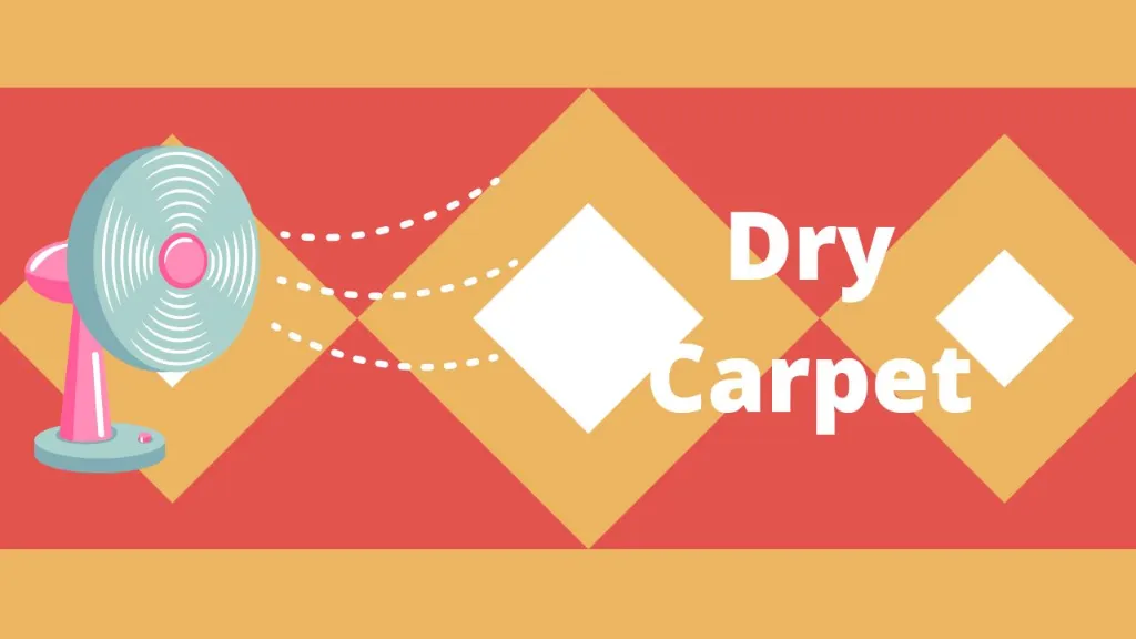 dry carpet