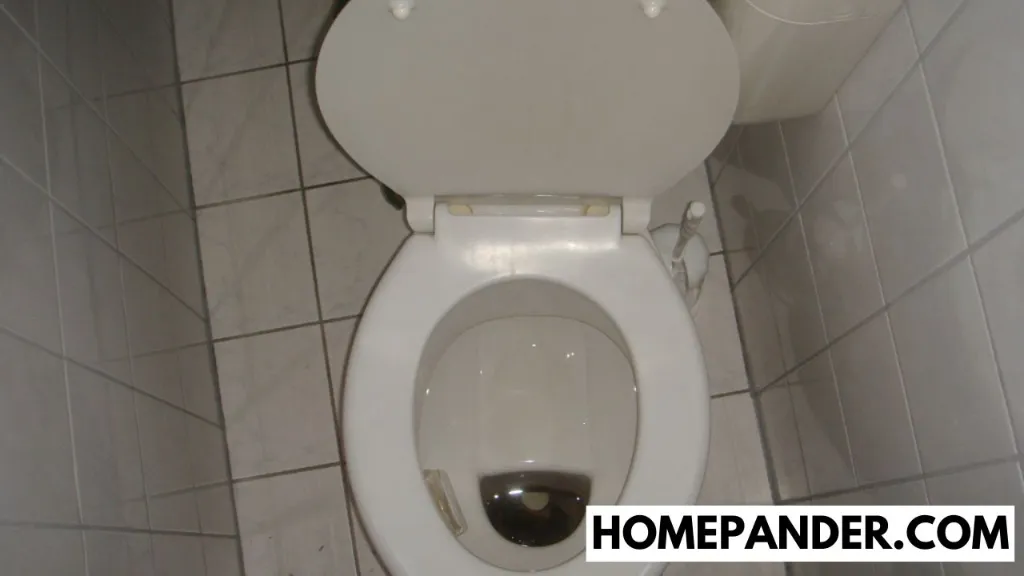 How To Prevent Black Ring In Toilet